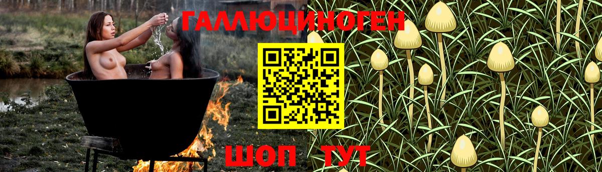 Псилоцибиновые грибы MAGIC MUSHROOMS Ейск