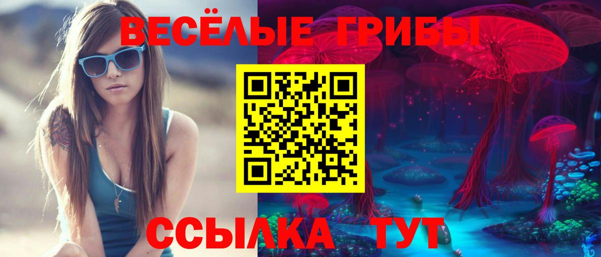 Галлюциногенные грибы мицелий  Вход с VPN  Ейск  Галлюциногенные грибы ЛСД 